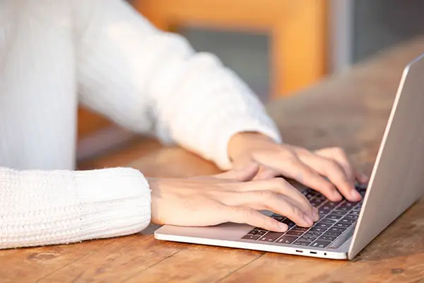 有哪些安全的猫粮和猫罐头推荐?