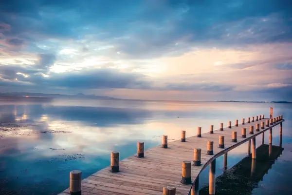 英语狮字怎么写,怎么读方法详解