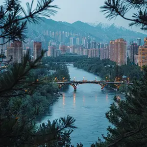 菜鸟的字怎么写,怎么读方法详解